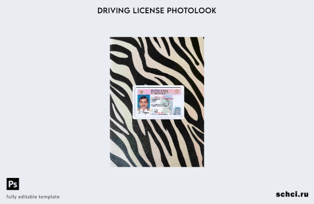 цифровая загрузка США Индиана DL шаблон Photolook FRONT